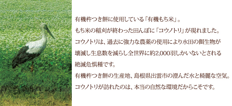 有機杵つき餅 白もち★期間限定★