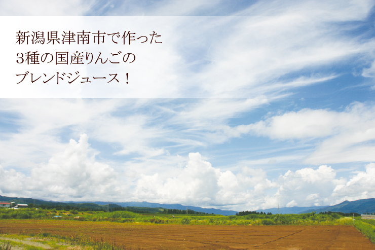 津南高原あっぷるジュース《350ml》