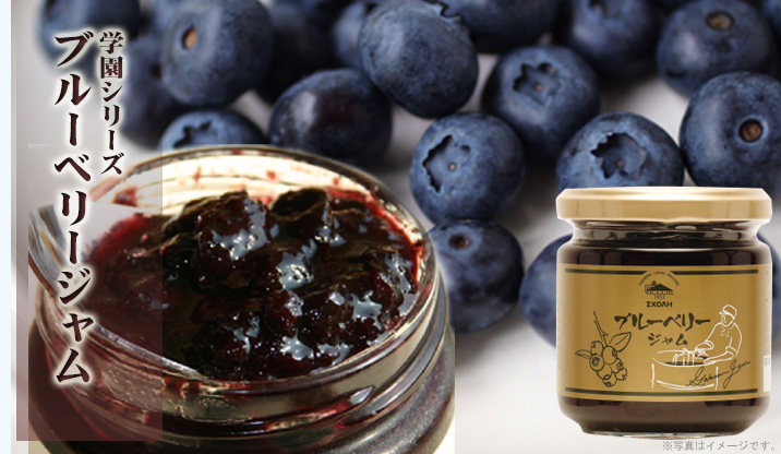 ブルーベリージャム